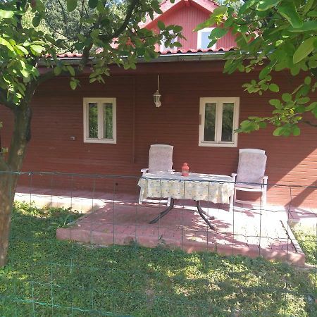 Rustic Country House In Snagov Exterior foto